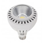 Lámpara LED PAR30 E27 30W 230V 45º