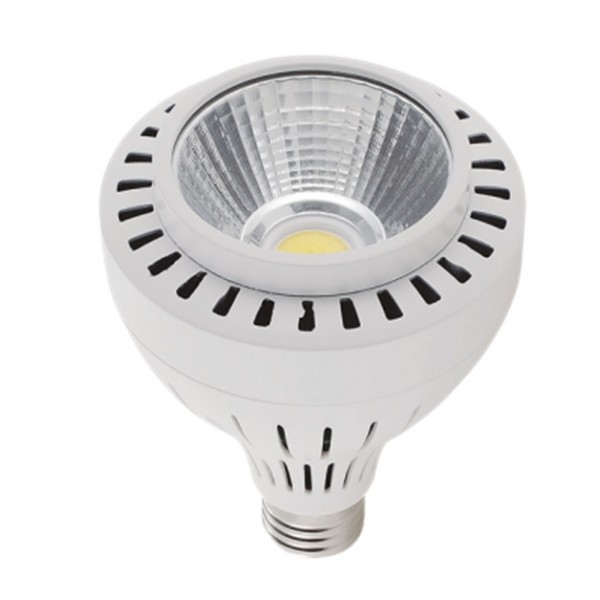 Lámpara LED PAR30 E27 30W 230V 45º