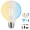 Lámpara LED Globo G125 Gold E27 Filamento 6W 806lm CCT Wifi+Bluetooth