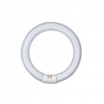 Tubo LED circular G10q 400mm 32W Blanco Frío