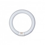 Tubo LED circular G10q 300mm 20W Blanco Frío