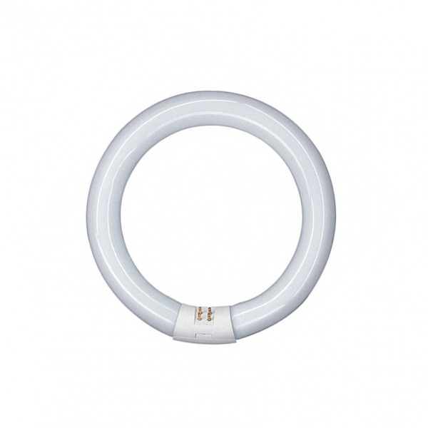 Tubo LED circular G10q 300mm 20W Blanco Frío